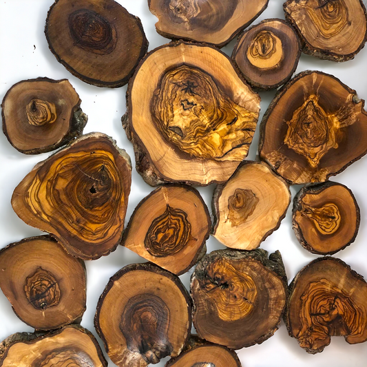 Olive Wood Cookies 3" - 6" diameter.